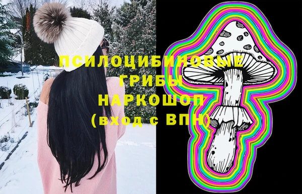 ПСИЛОЦИБИНОВЫЕ ГРИБЫ Белокуриха