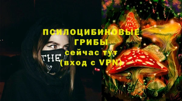 PSILOCYBIN Белоозёрский