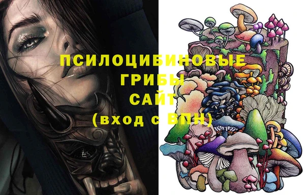 PSILOCYBIN Белоозёрский
