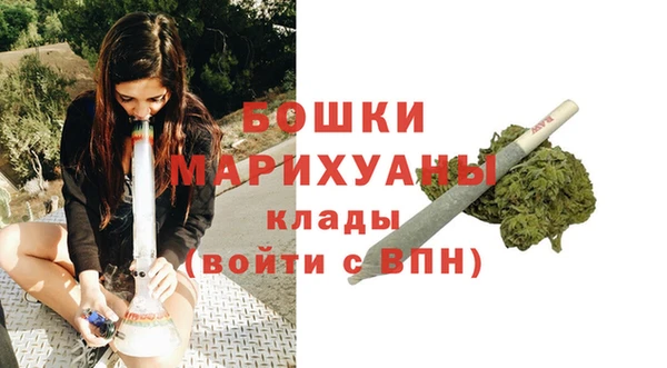 ПСИЛОЦИБИНОВЫЕ ГРИБЫ Белокуриха
