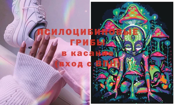 PSILOCYBIN Белоозёрский