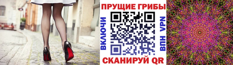 OMG как зайти  где купить наркотик  Вязники  Галлюциногенные грибы прущие грибы 