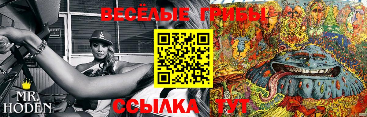 Галлюциногенные грибы Cubensis  Вход с VPN  Вязники  Галлюциногенные грибы Psilocybine cubensis 