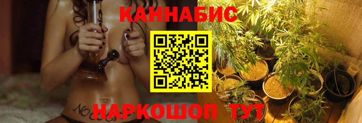 Каннабис планчик  Вход с VPN  МАРИХУАНА OG Kush  Бошки марихуана план  Вязники 